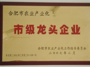 市級龍頭企業(yè)