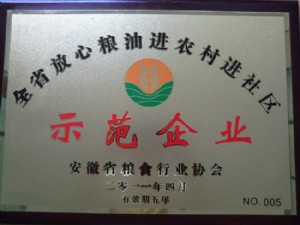 示范企業(yè)
